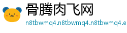 骨腾肉飞网